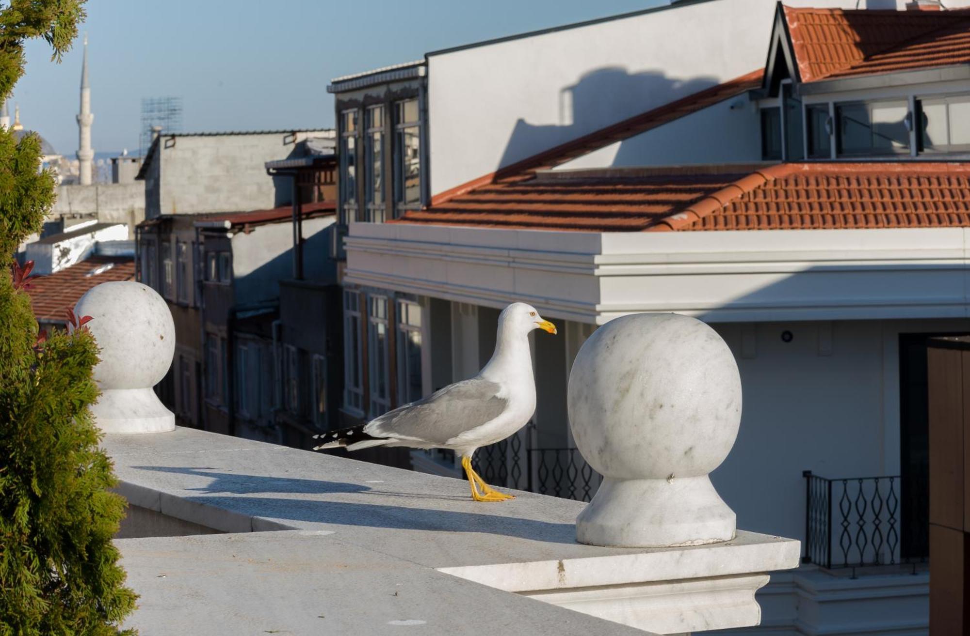 Bizim Hotel Istanbul Eksteriør billede